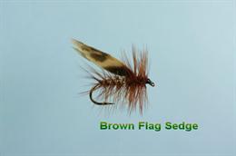 Brown Flag Sedge